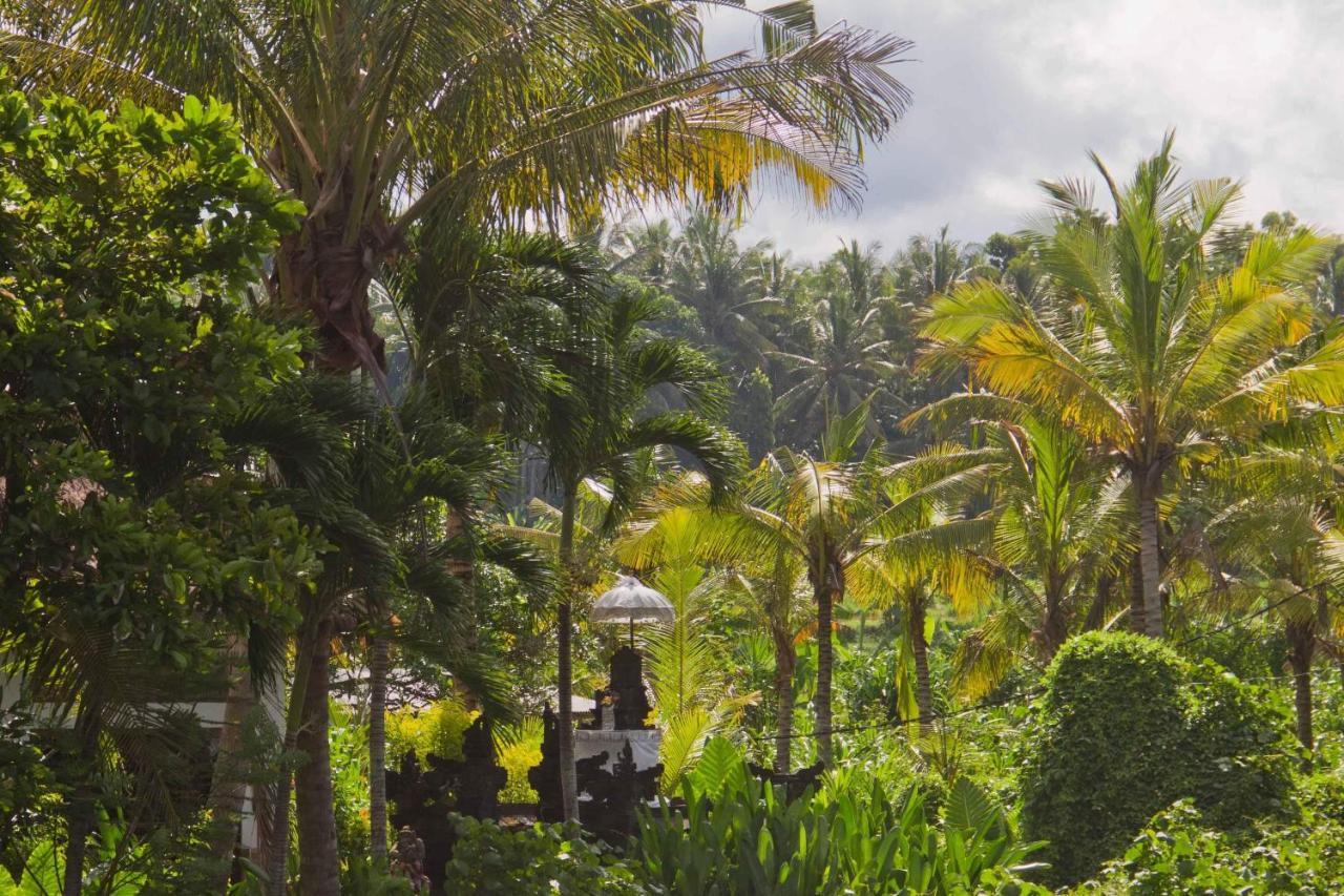 Villa Jasri Dalem Surf Retreat Exterior foto
